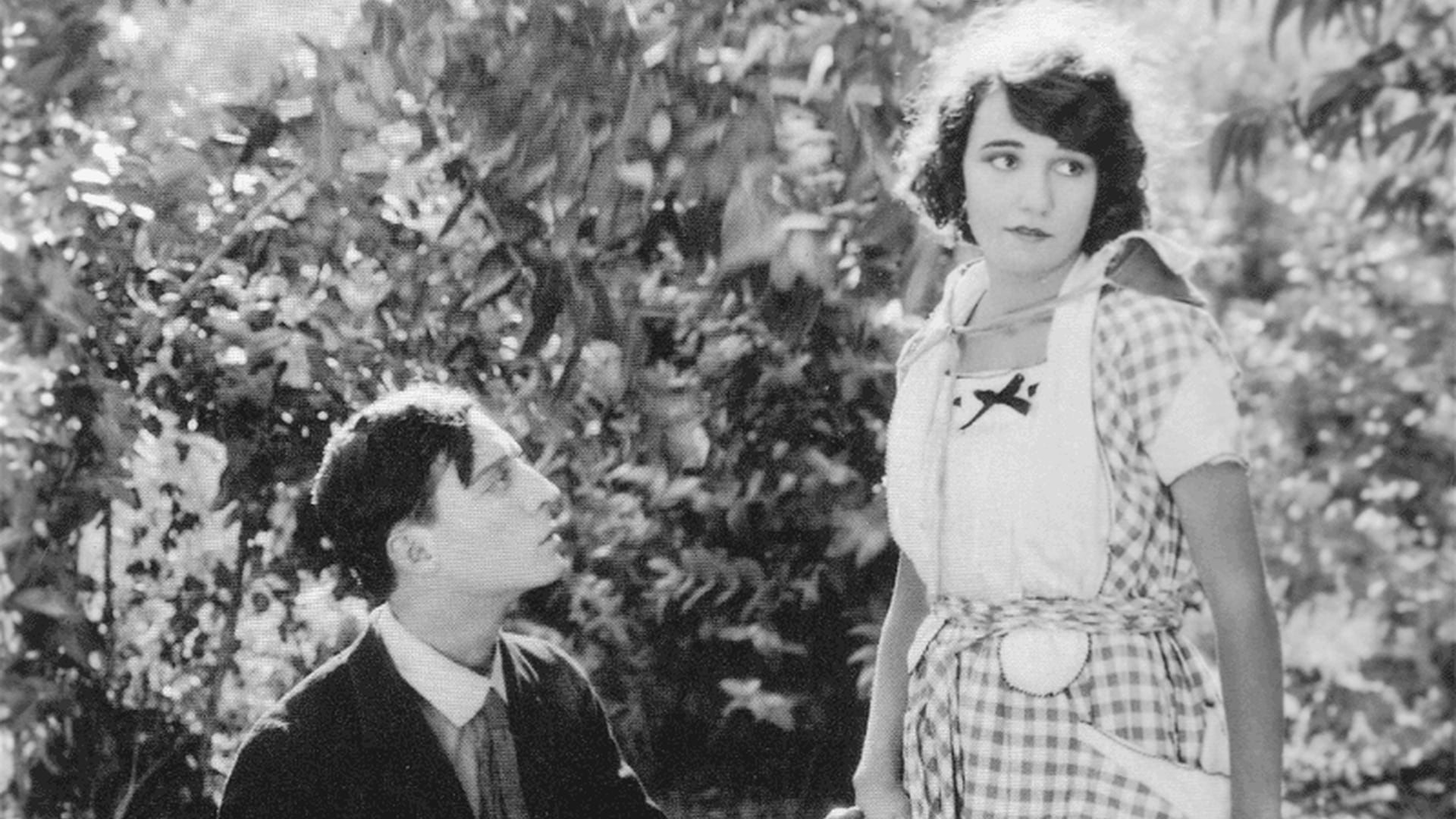 The Scarecrow Background