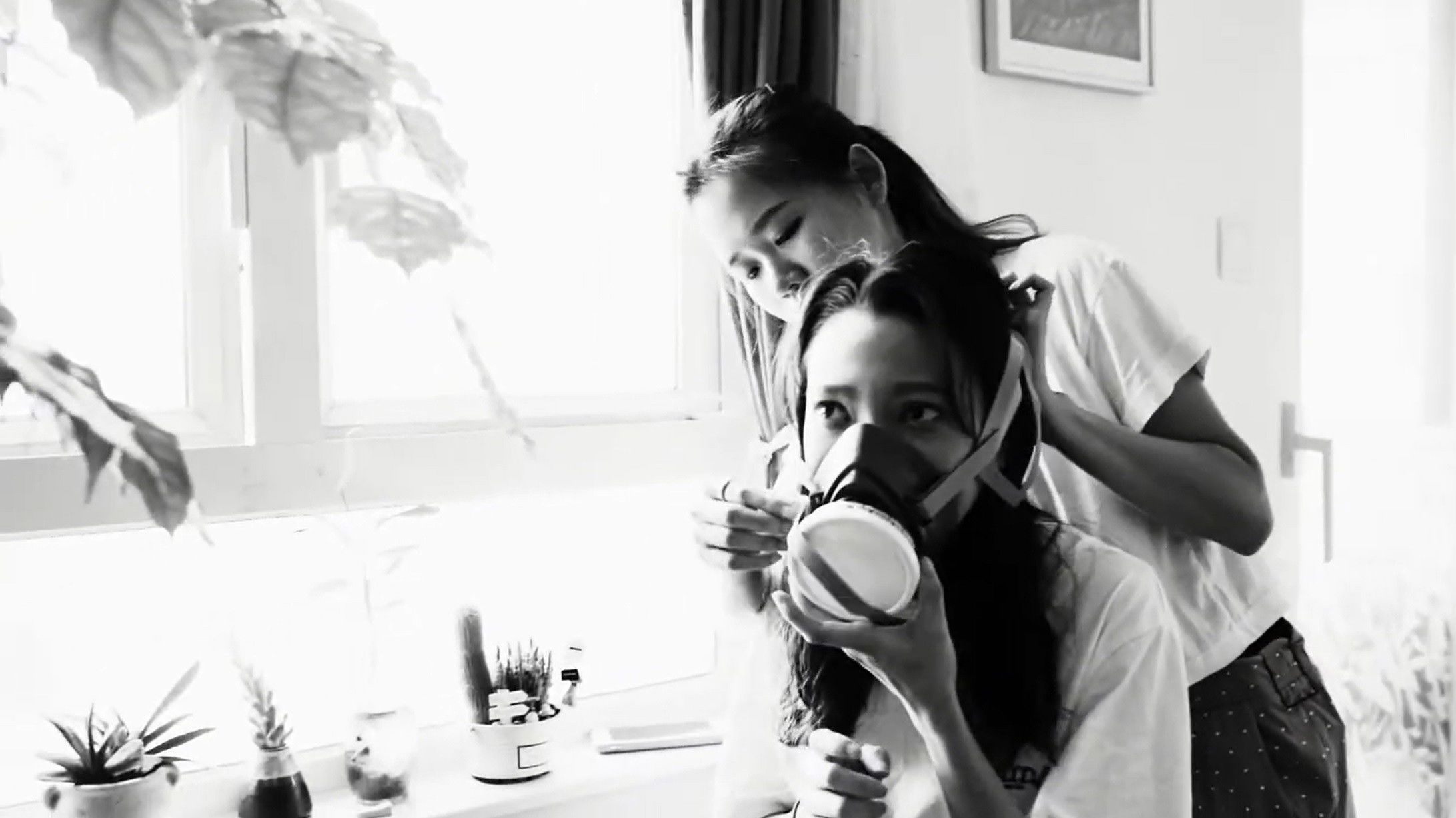 I am not suicided, yet Background