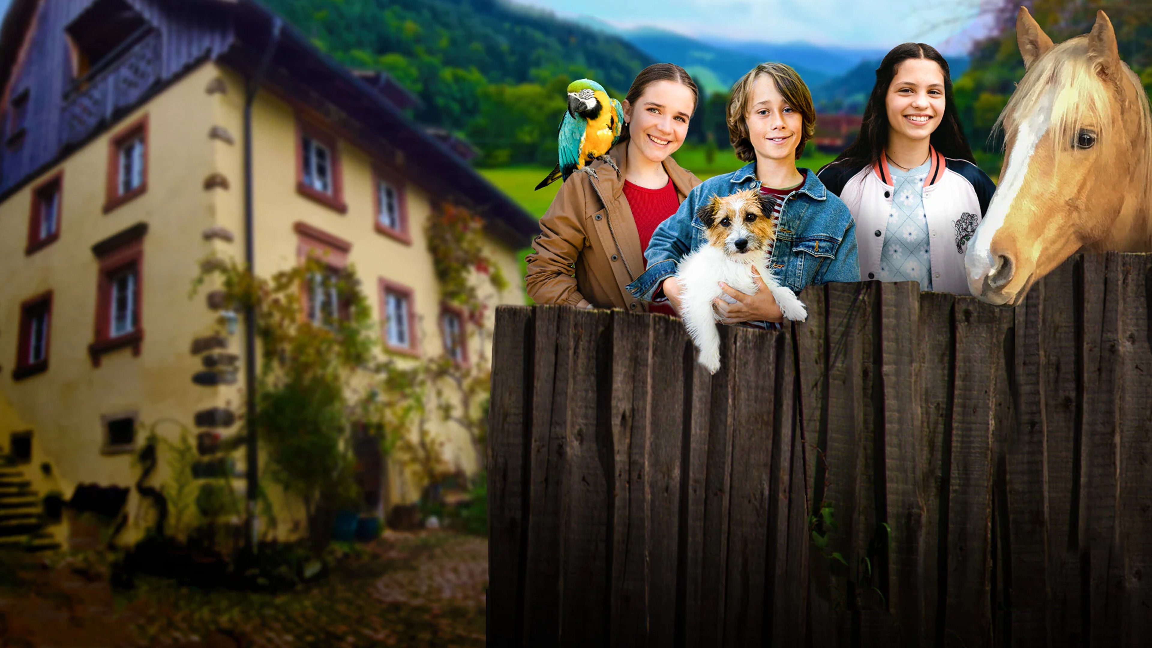 A Houseful of Animals Background