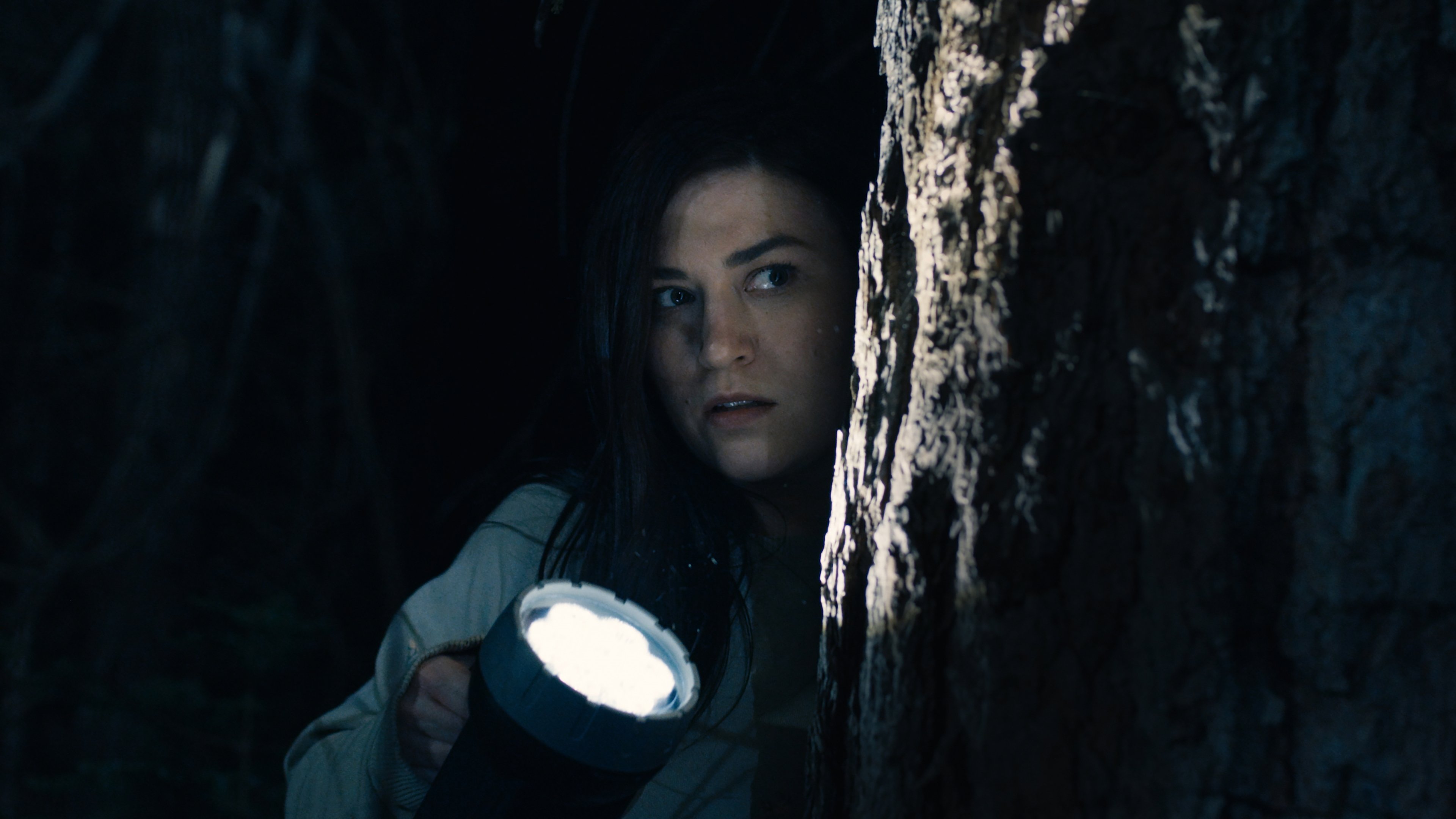 Stranger in the Woods Background