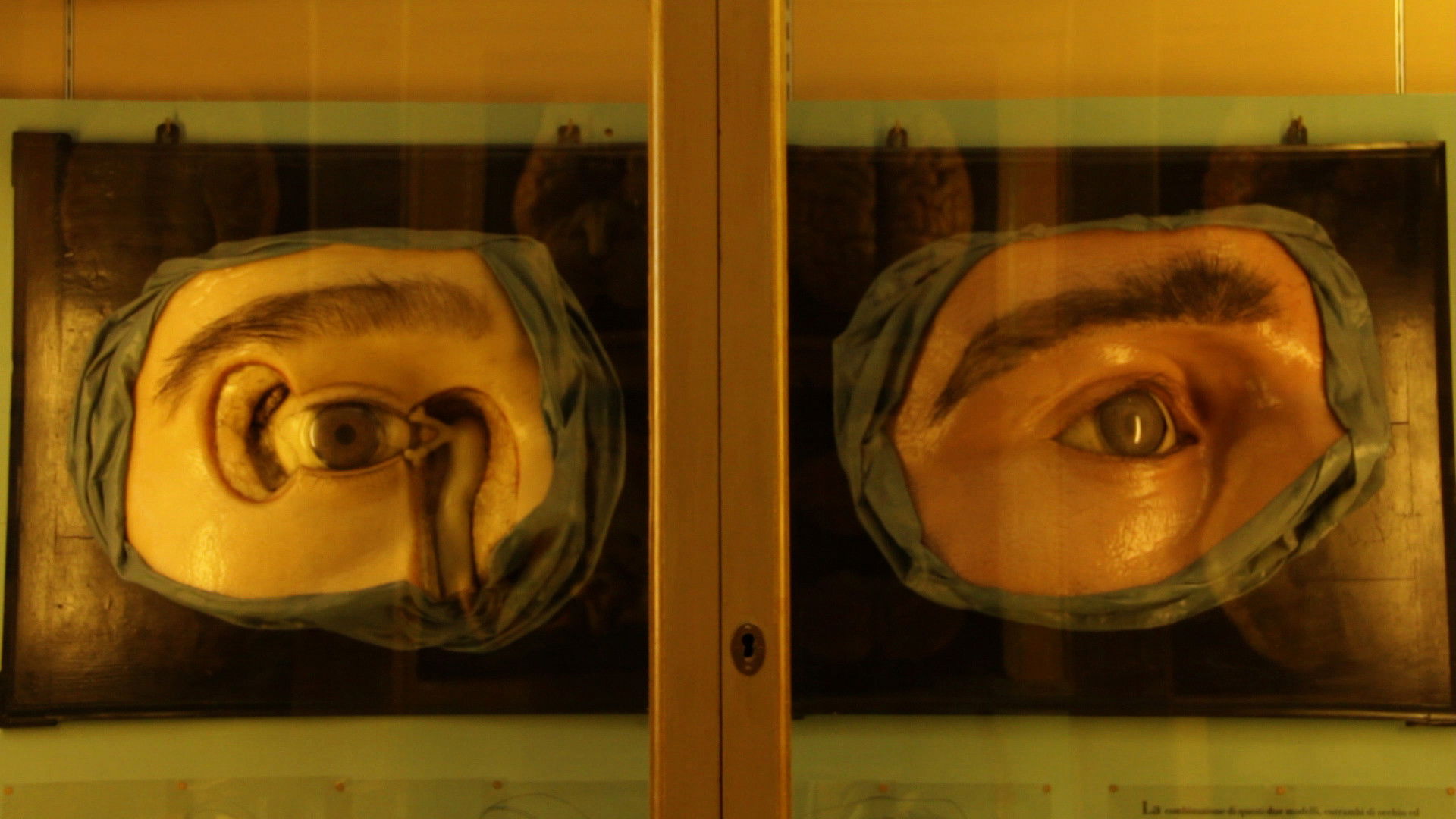 Chasing The Wind Background