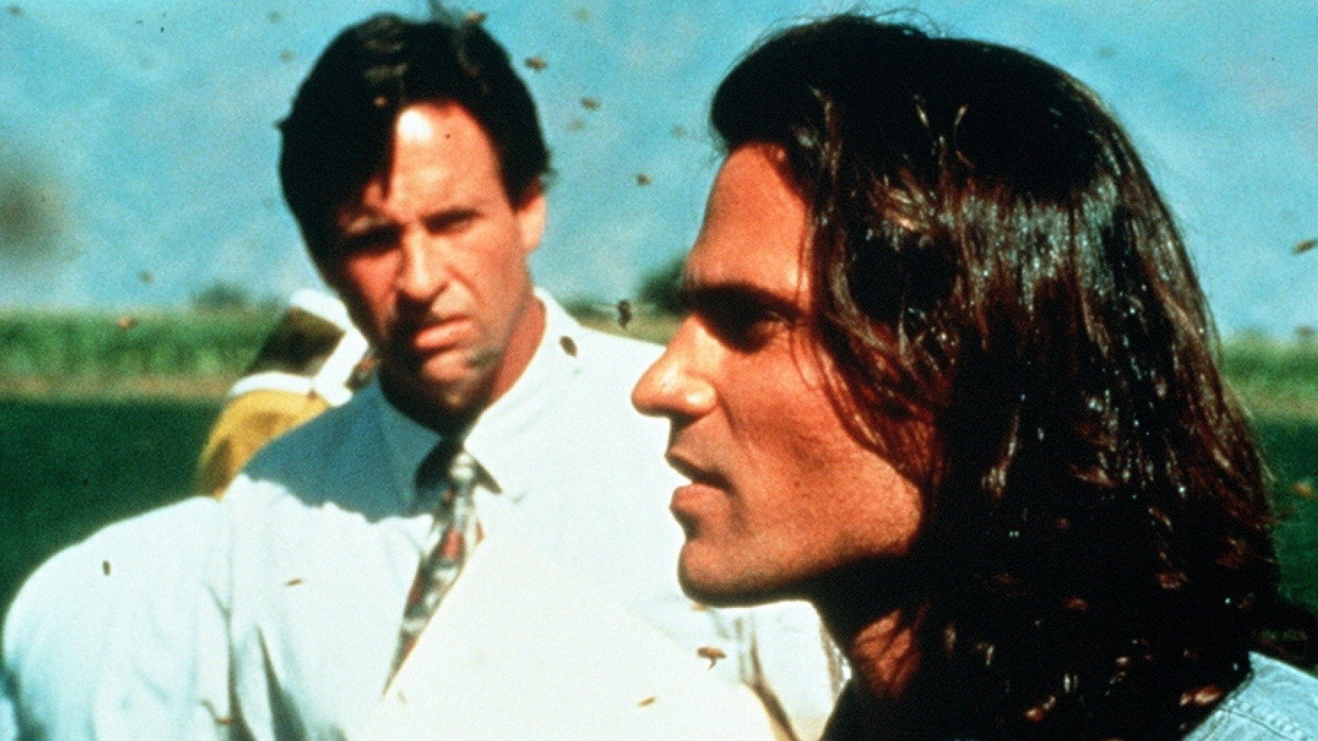 Deadly Invasion: The Killer Bee Nightmare Background