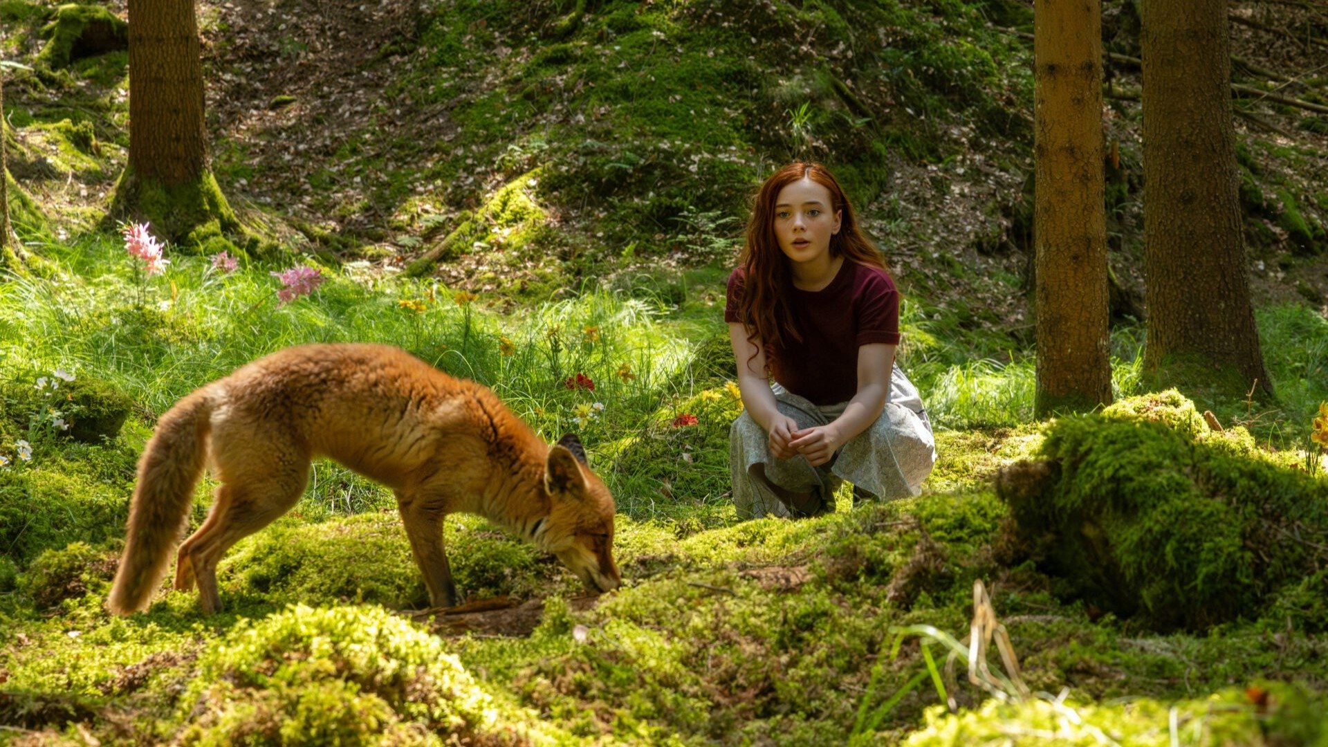 A Girl Named Willow Background