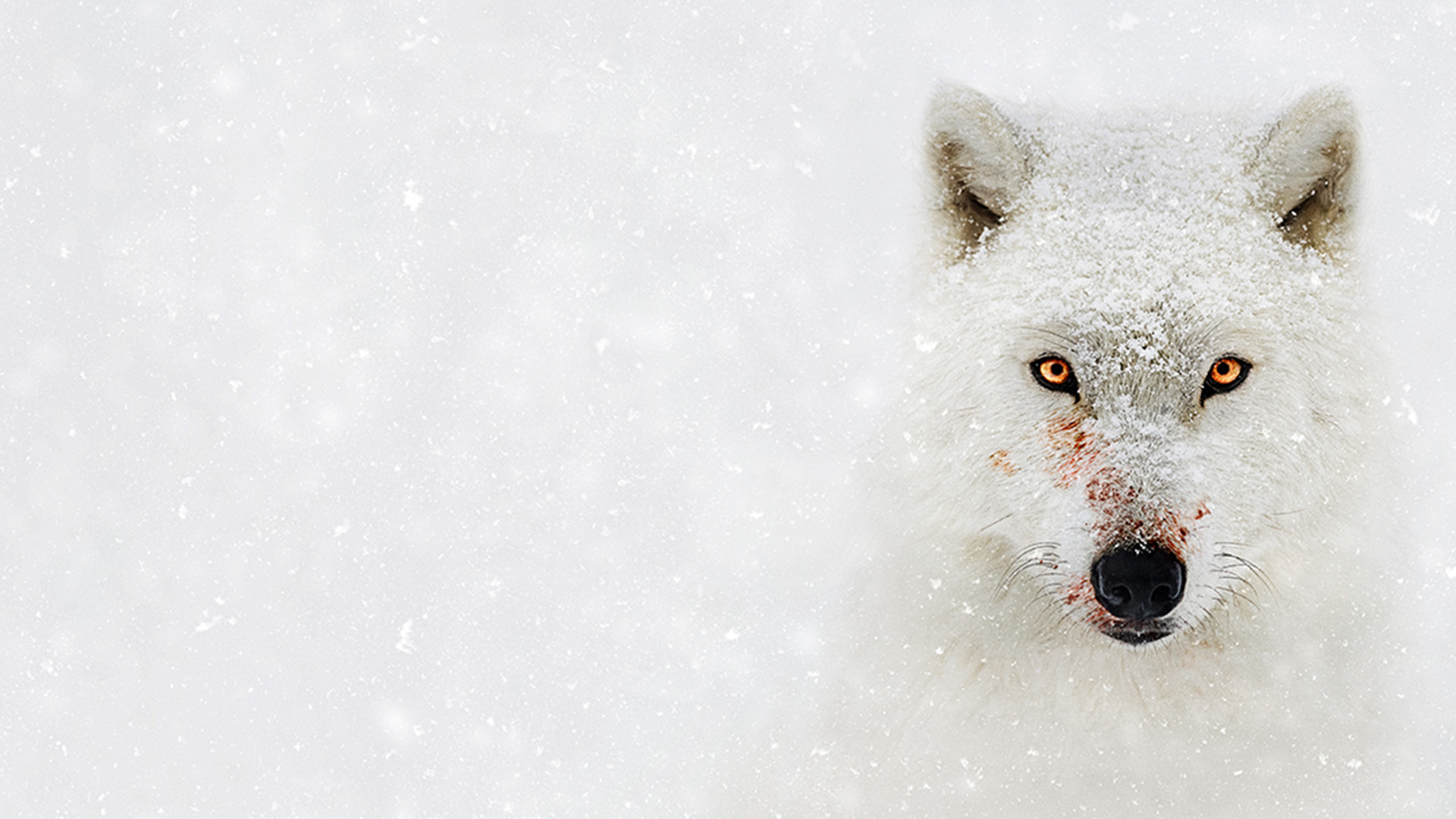 Hostile Planet Background