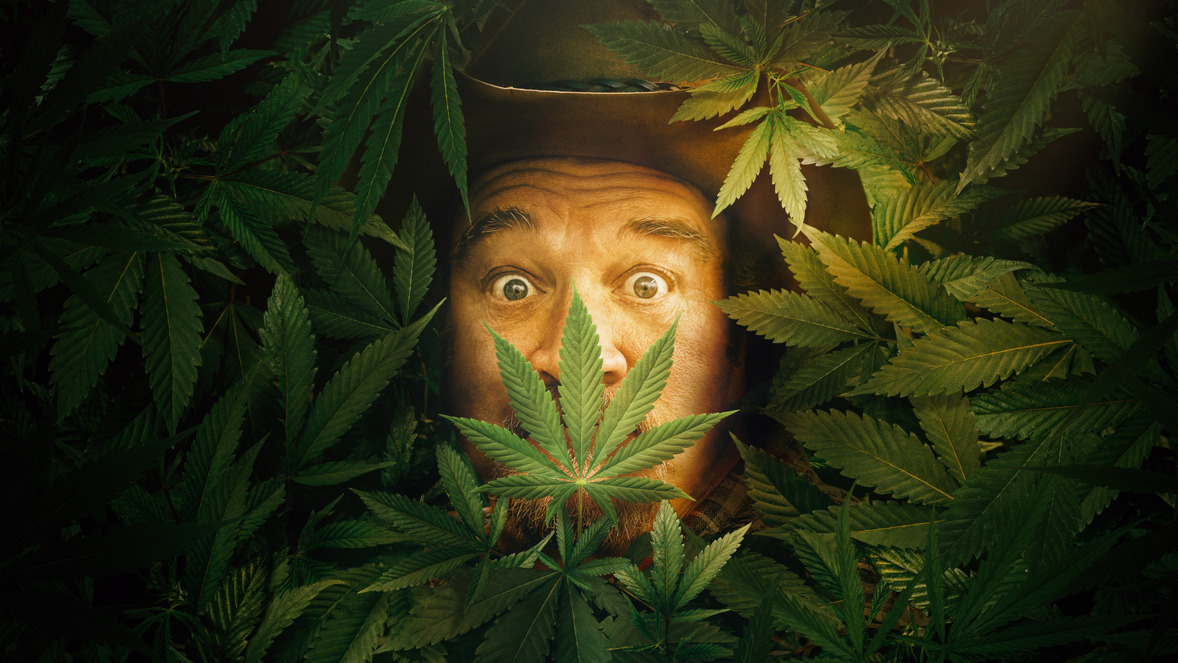 Growing Belushi Background