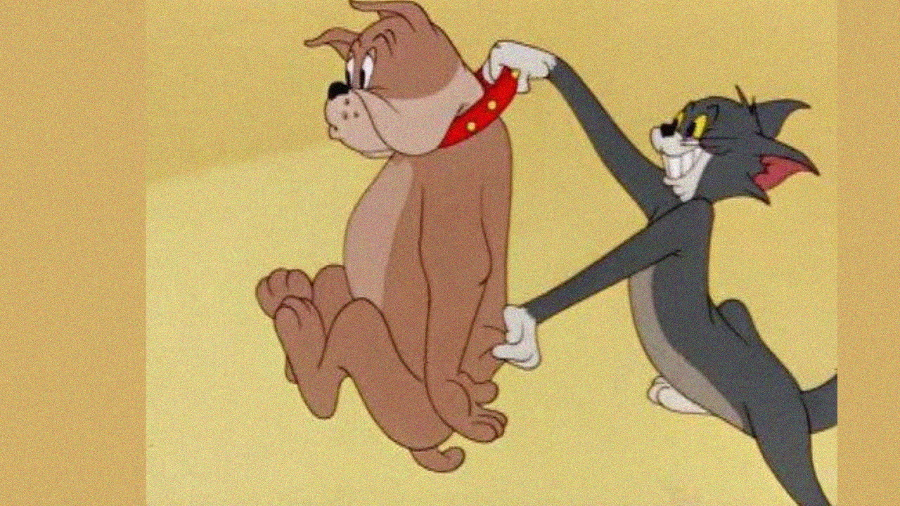 Pet Peeve Background