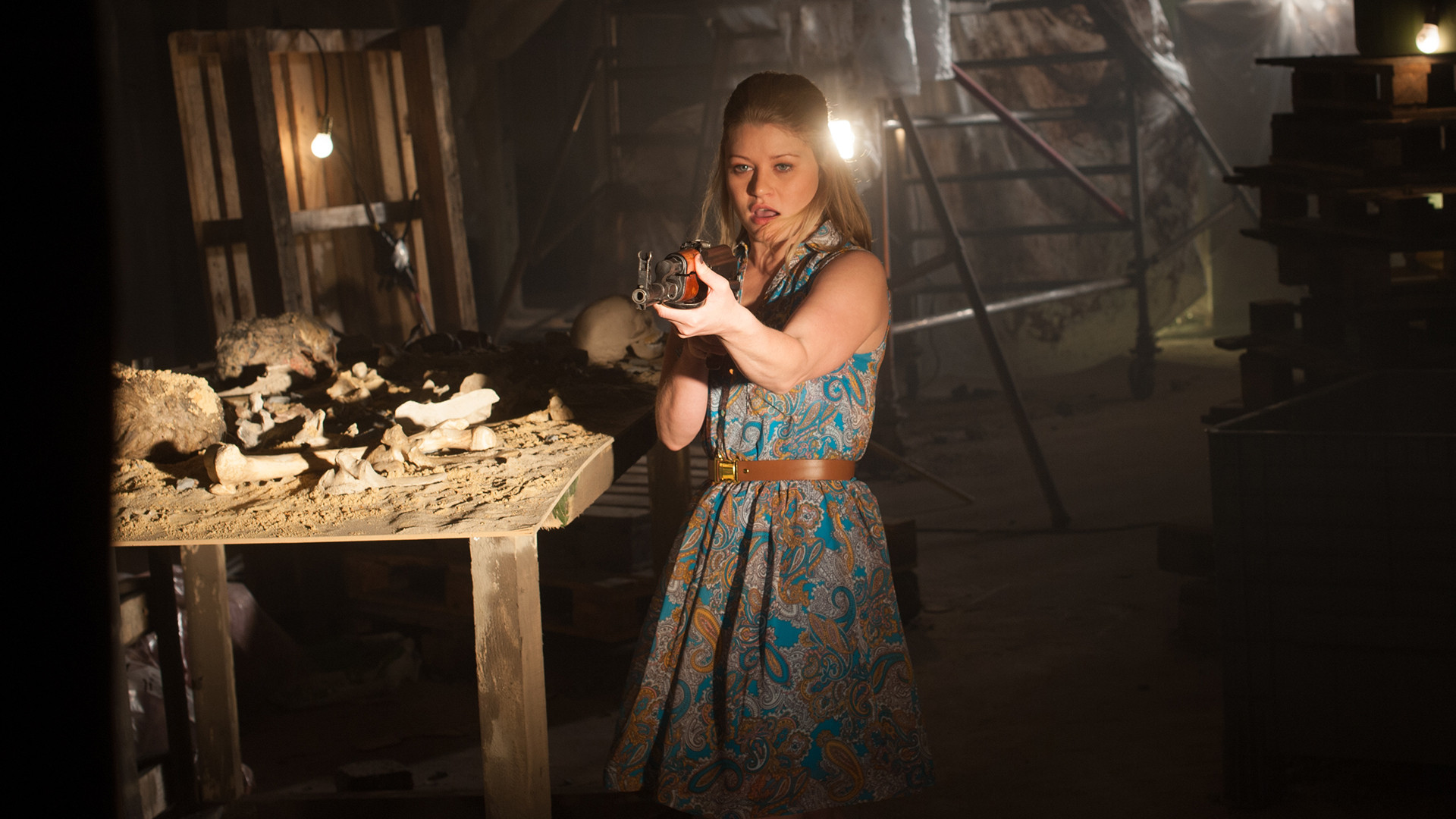 Alistair MacLean's Air Force One Is Down Background