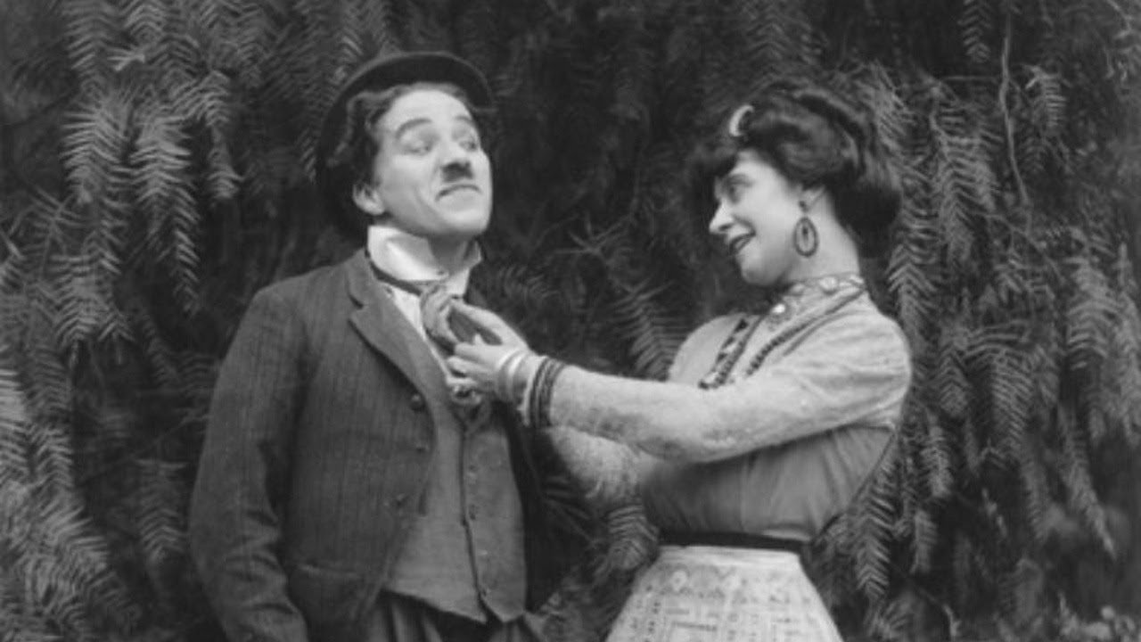 The Star Boarder Background