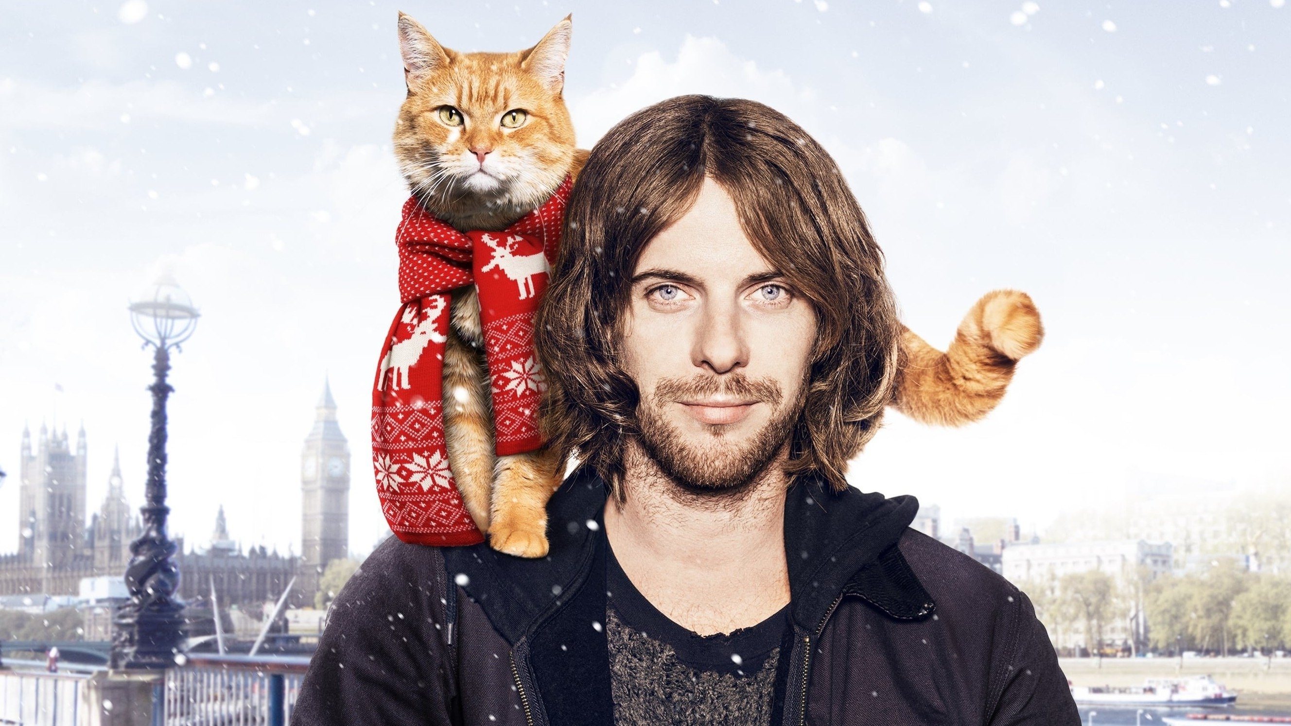 A Street Cat Named Bob Background