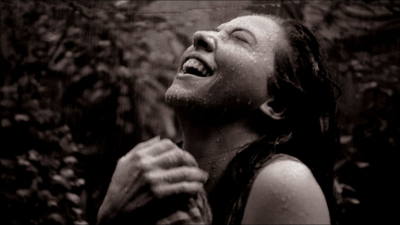 Cinema Novo Background