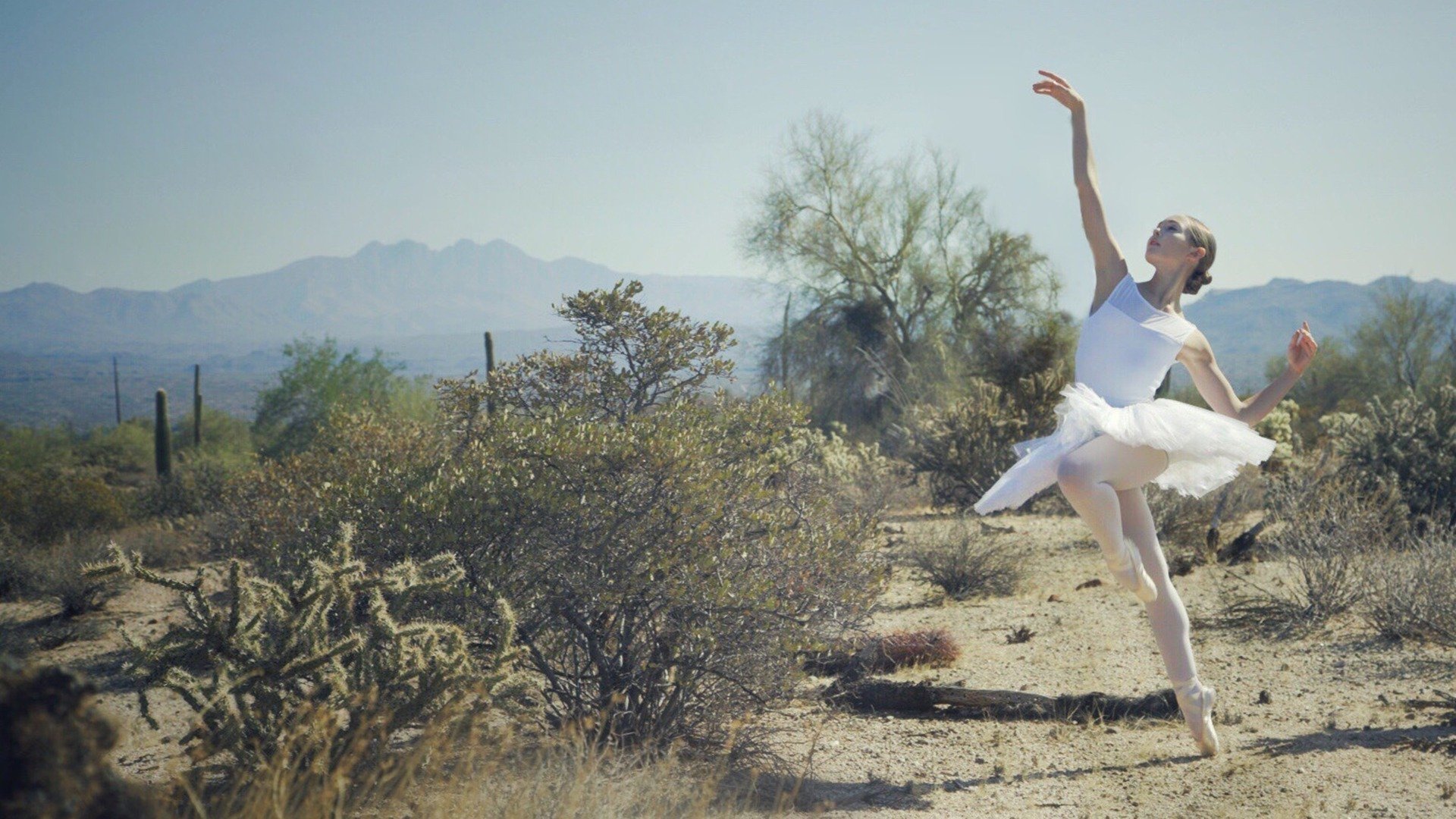 Driven to Dance Background