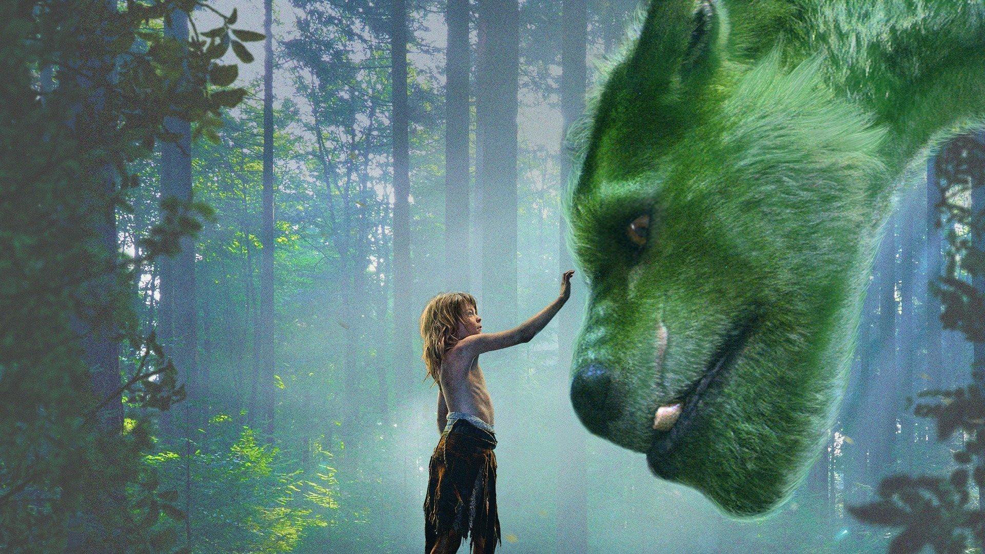 Pete's Dragon Background