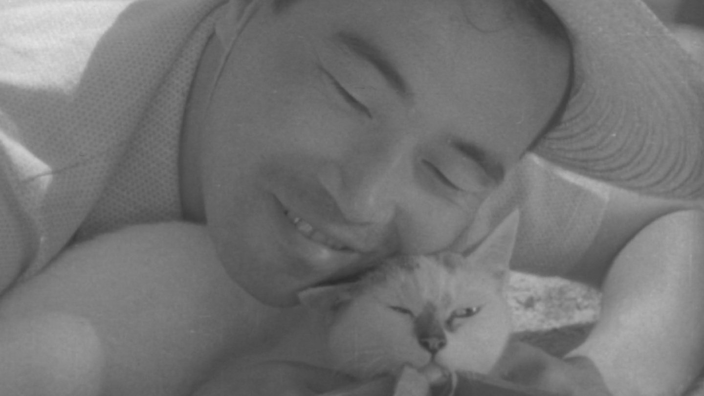 Shozo, a Cat and Two Women Background