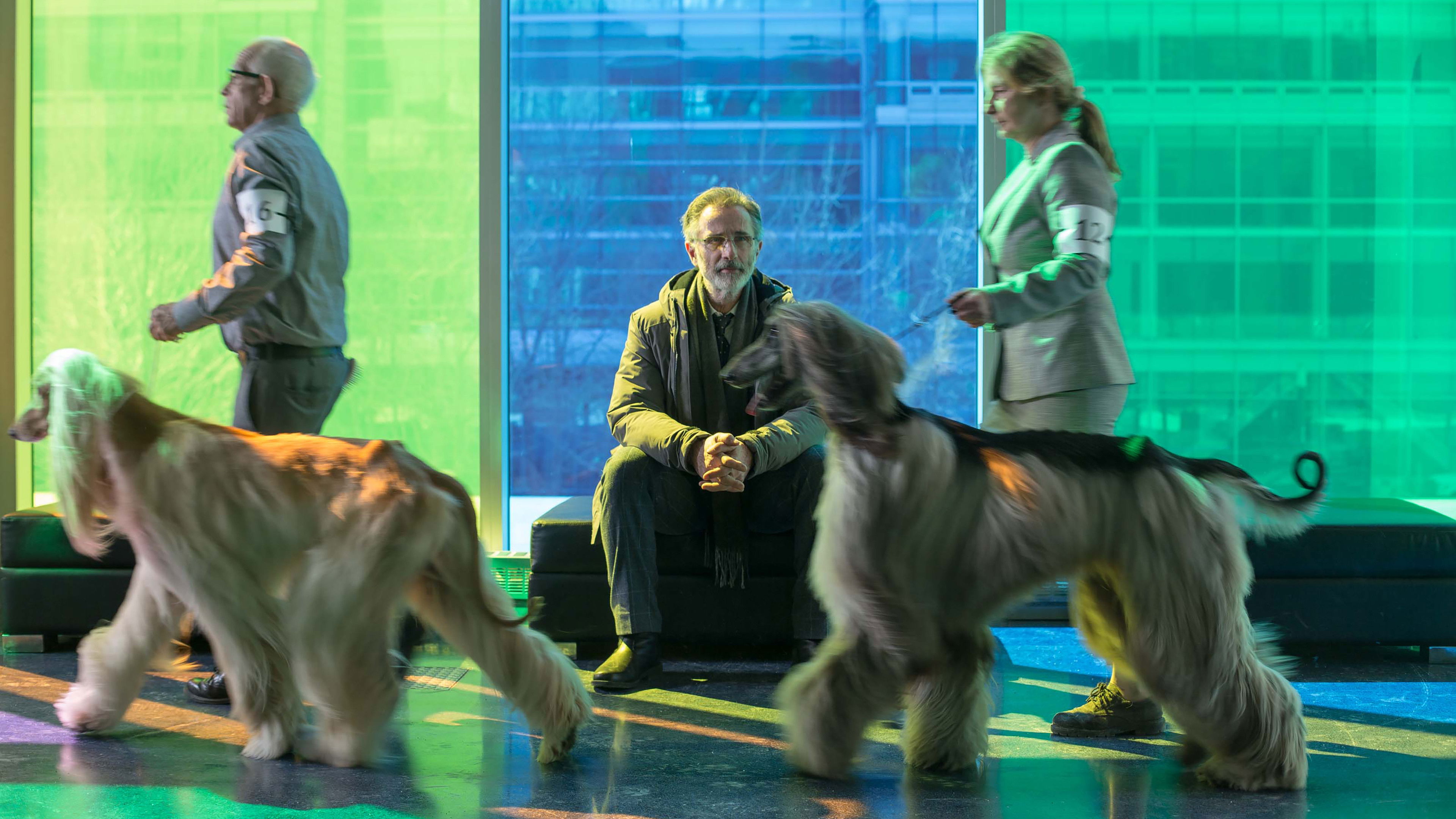 The New Life of Paul Sneijder Background