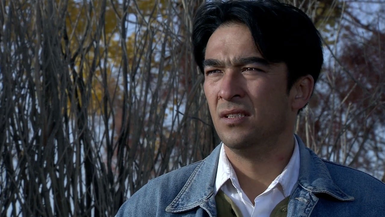 胡杨人 Background