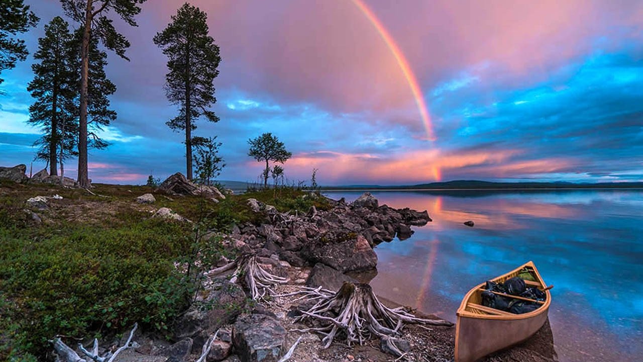 Wild Scandinavia Background