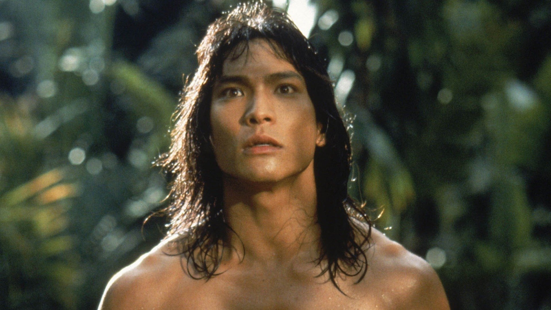 The Jungle Book Background