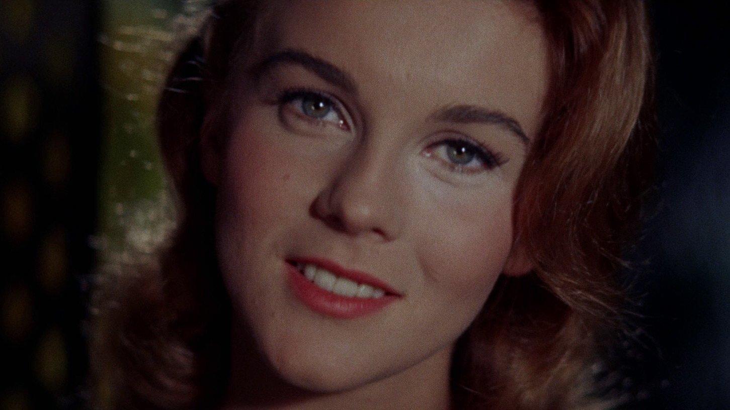 Bye Bye Birdie Background