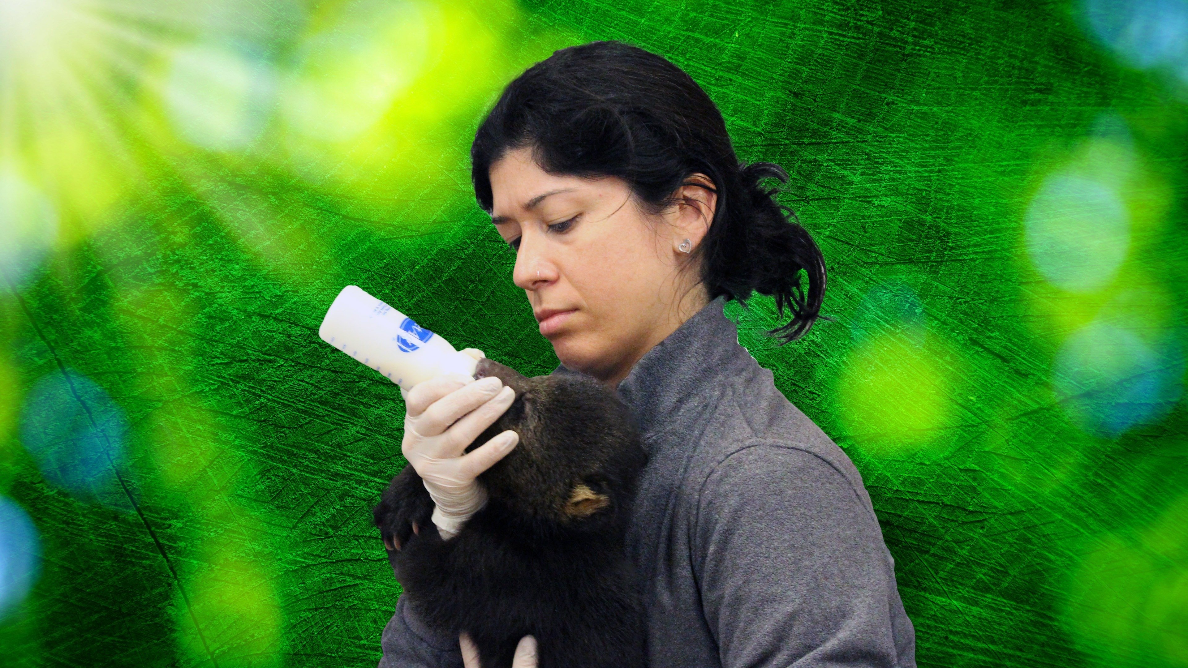 Secrets of the Zoo: Tampa Background