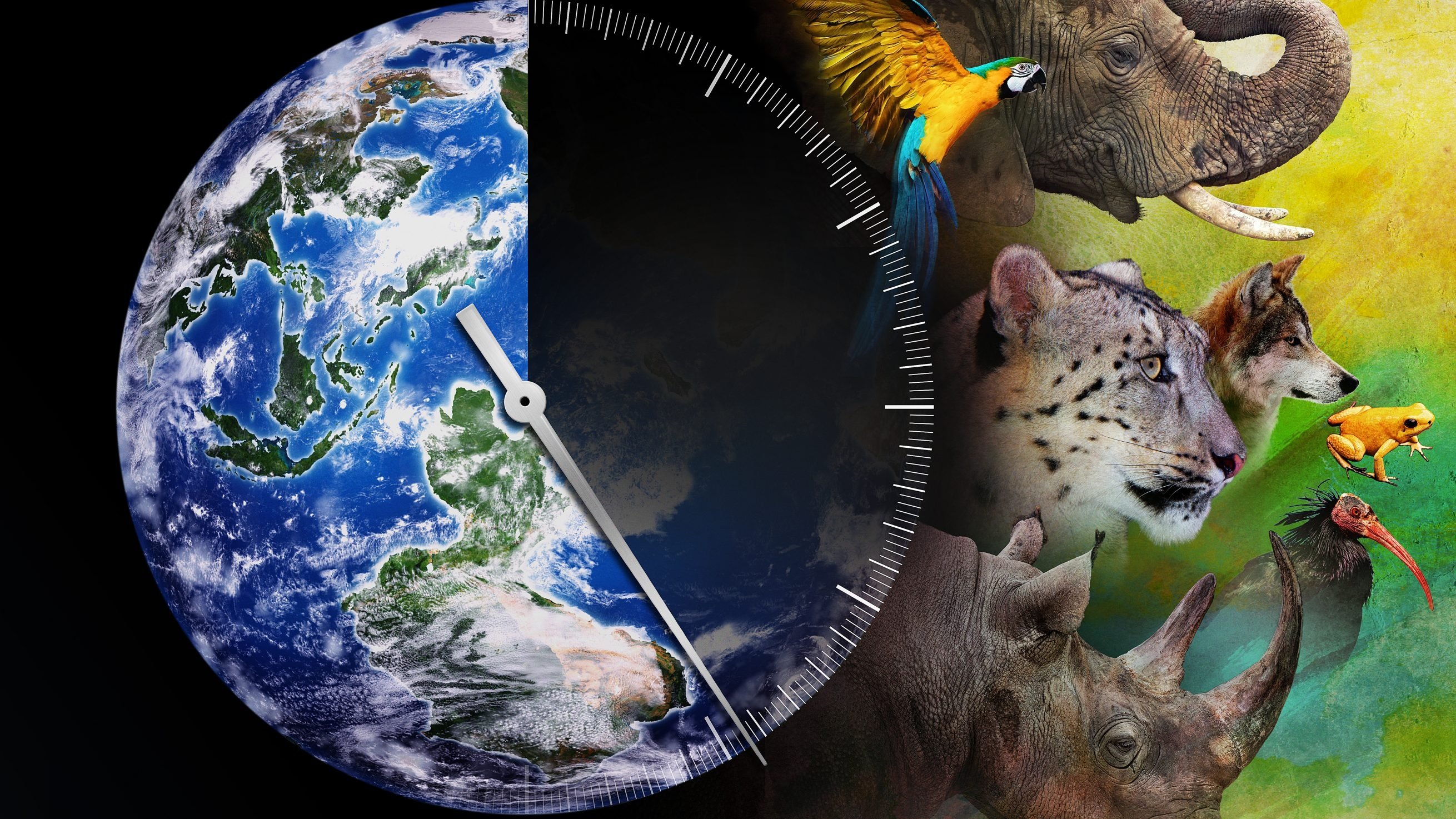 Racing Extinction Background