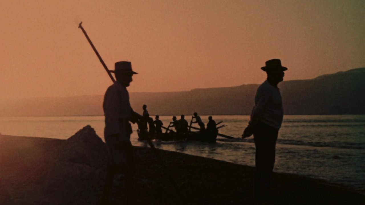 The Age of Swordfish Background