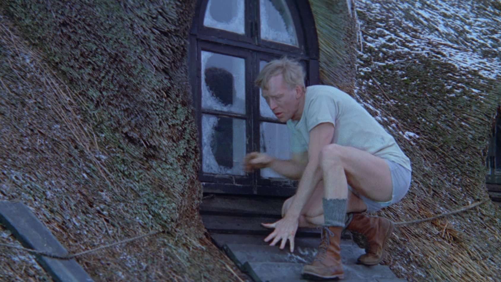 The Night Visitor Background