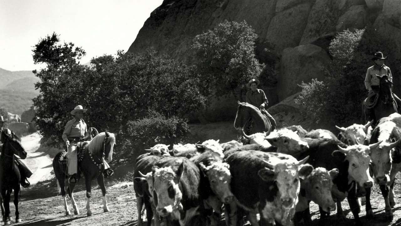 Riders in the Sky Background