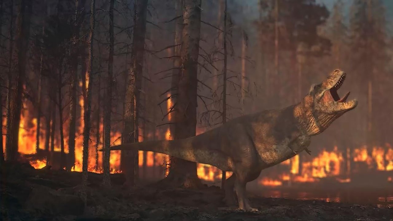 Planeta Tierra (Fateful Planet) Background