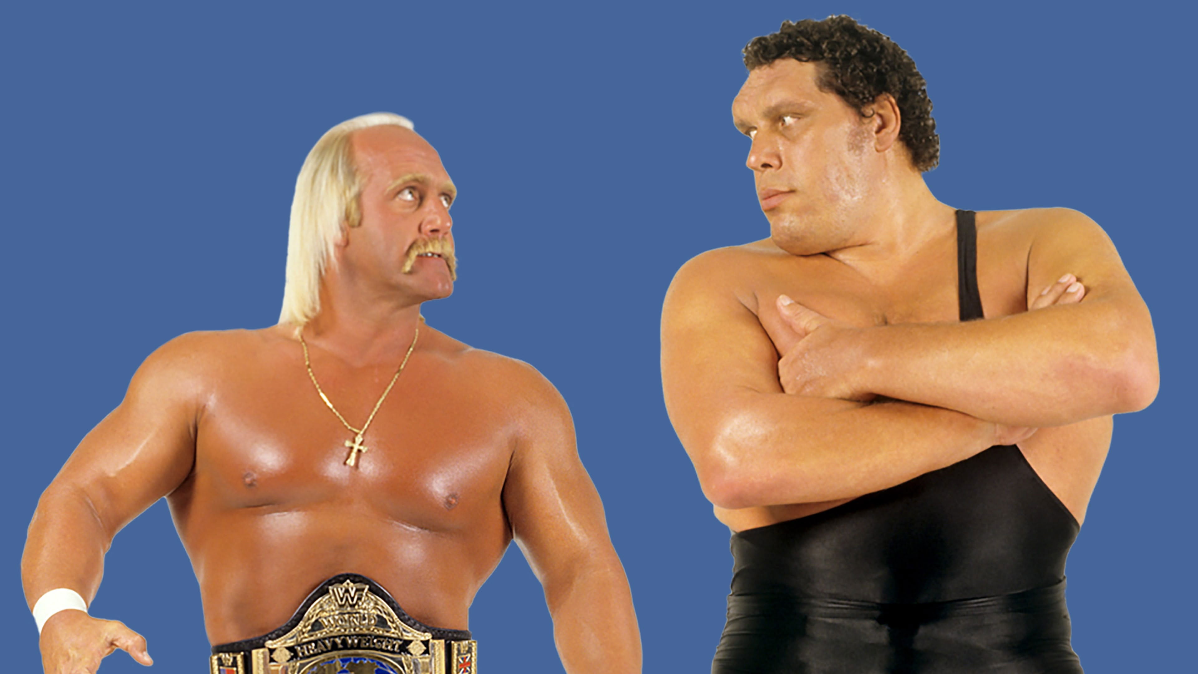 WWE WrestleMania III Background