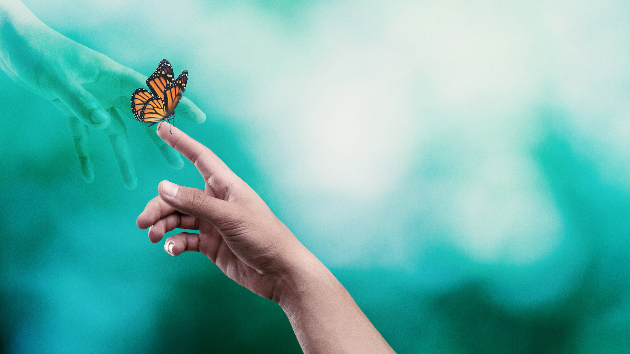 Surviving Death Background