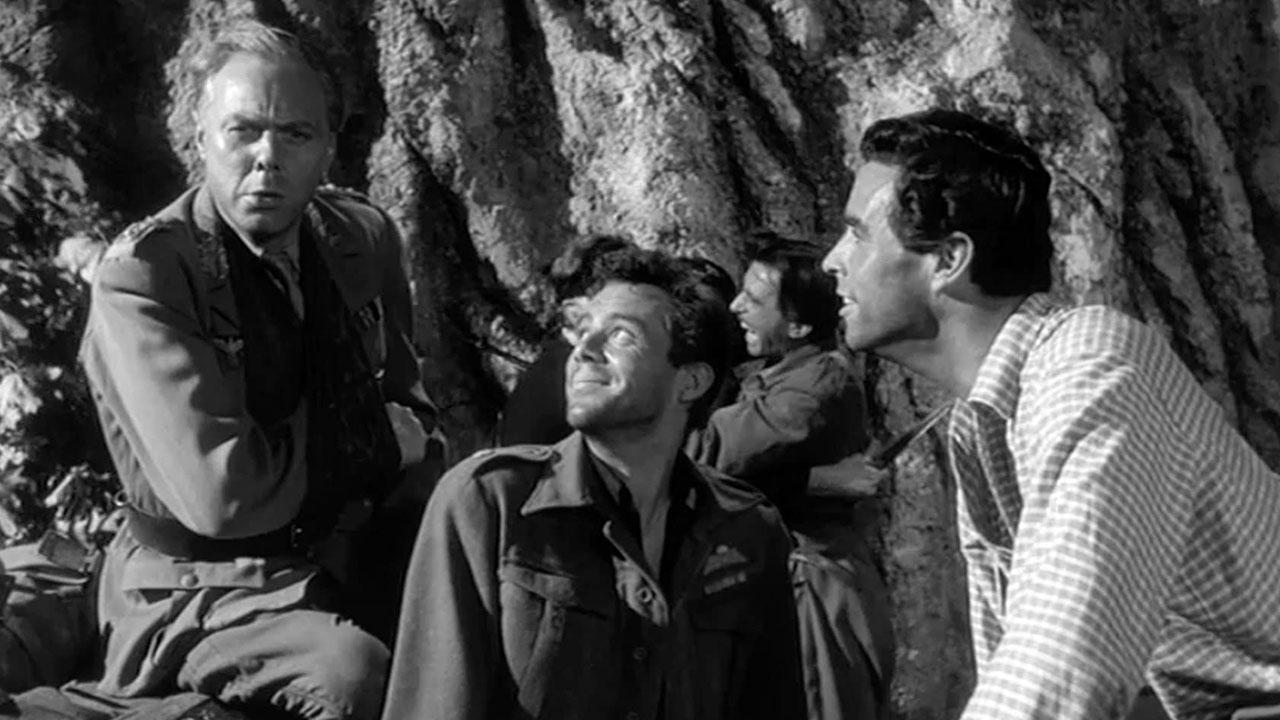 Ill Met by Moonlight Background