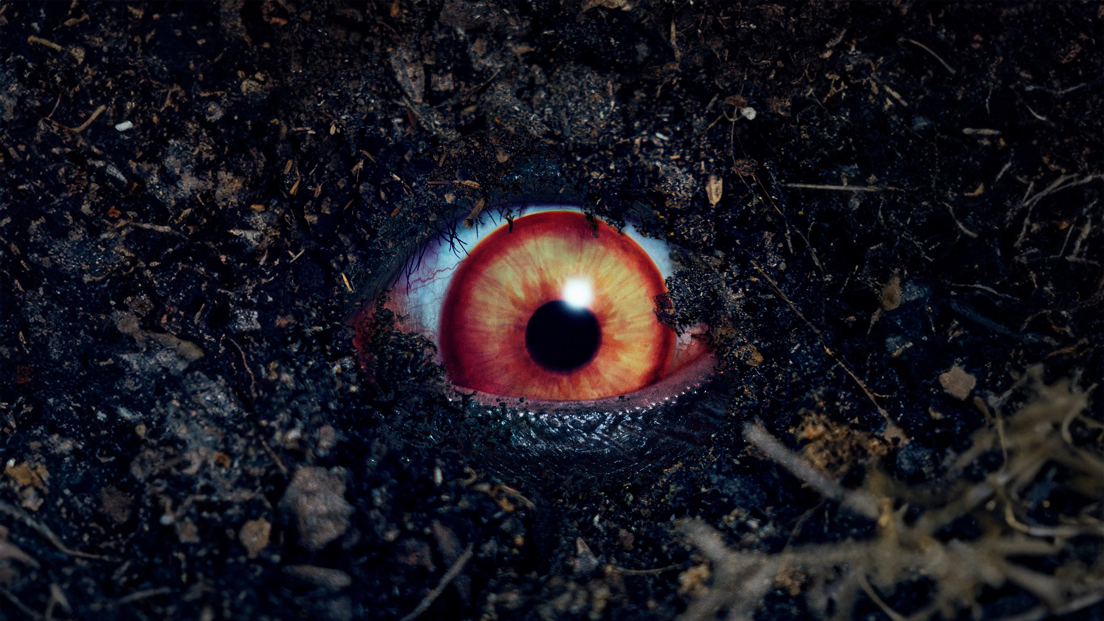 The Forbidden Play Background