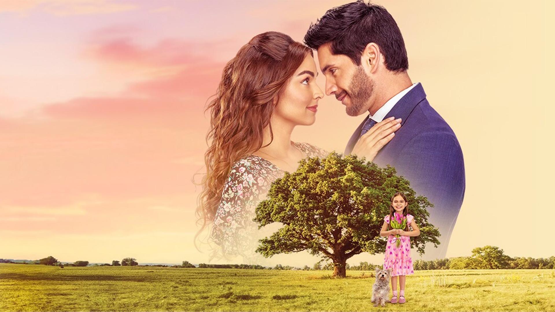 El amor no tiene receta Background