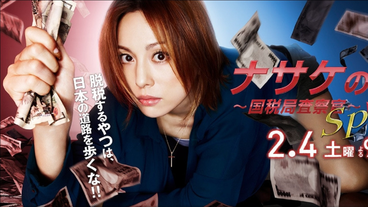 HUNT - Tax Investigation Officer Background