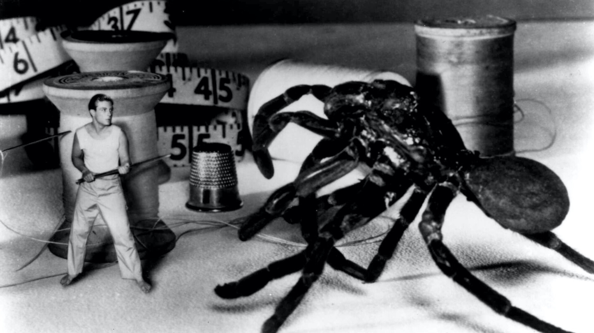 The Incredible Shrinking Man Background