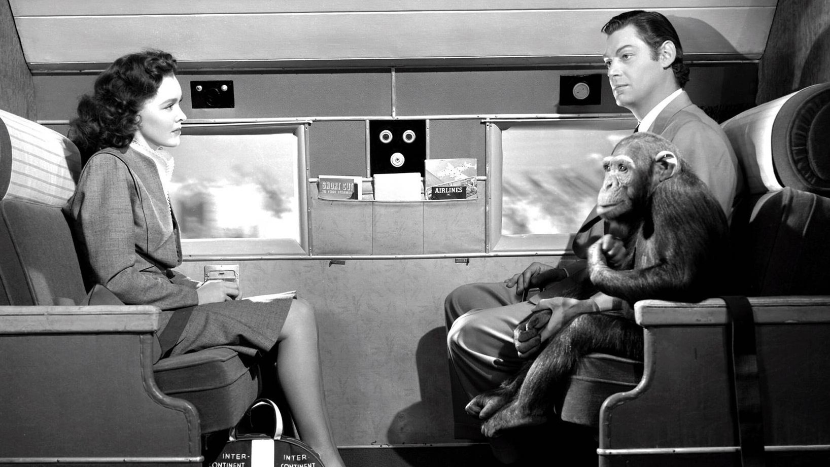 Tarzan's New York Adventure Background