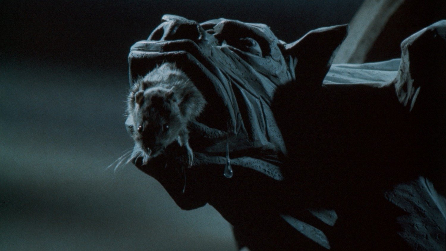 The Pied Piper Background