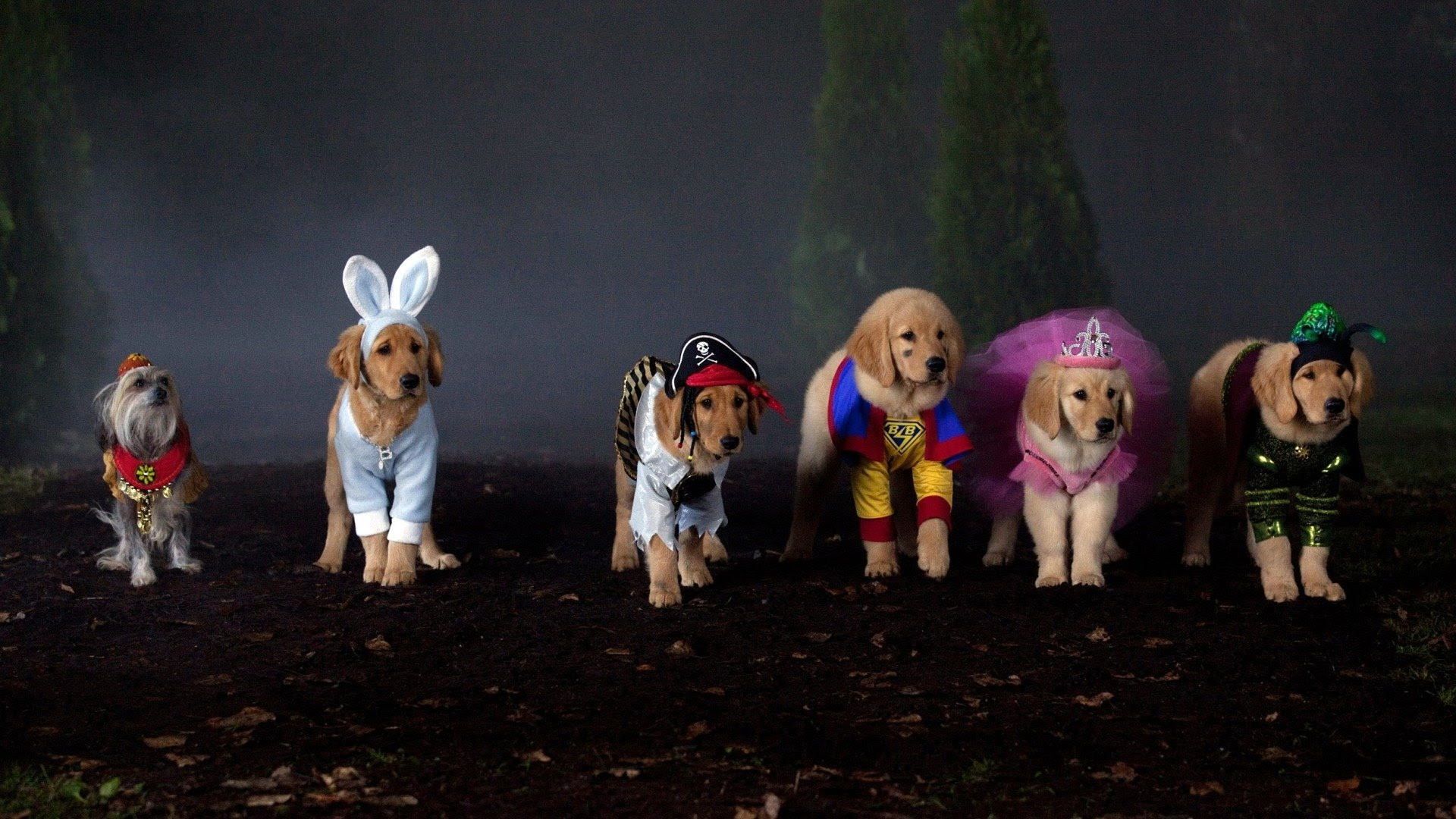 Spooky Buddies Background