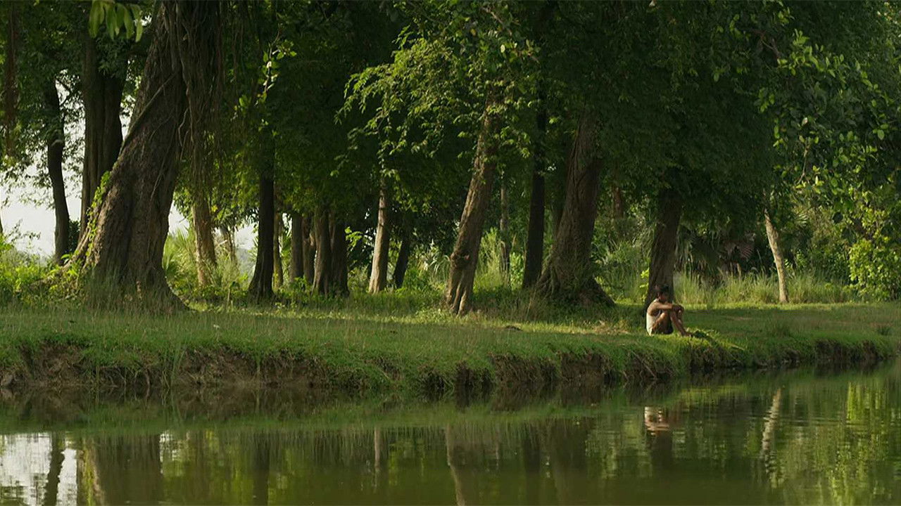 Colours of Innocence Background