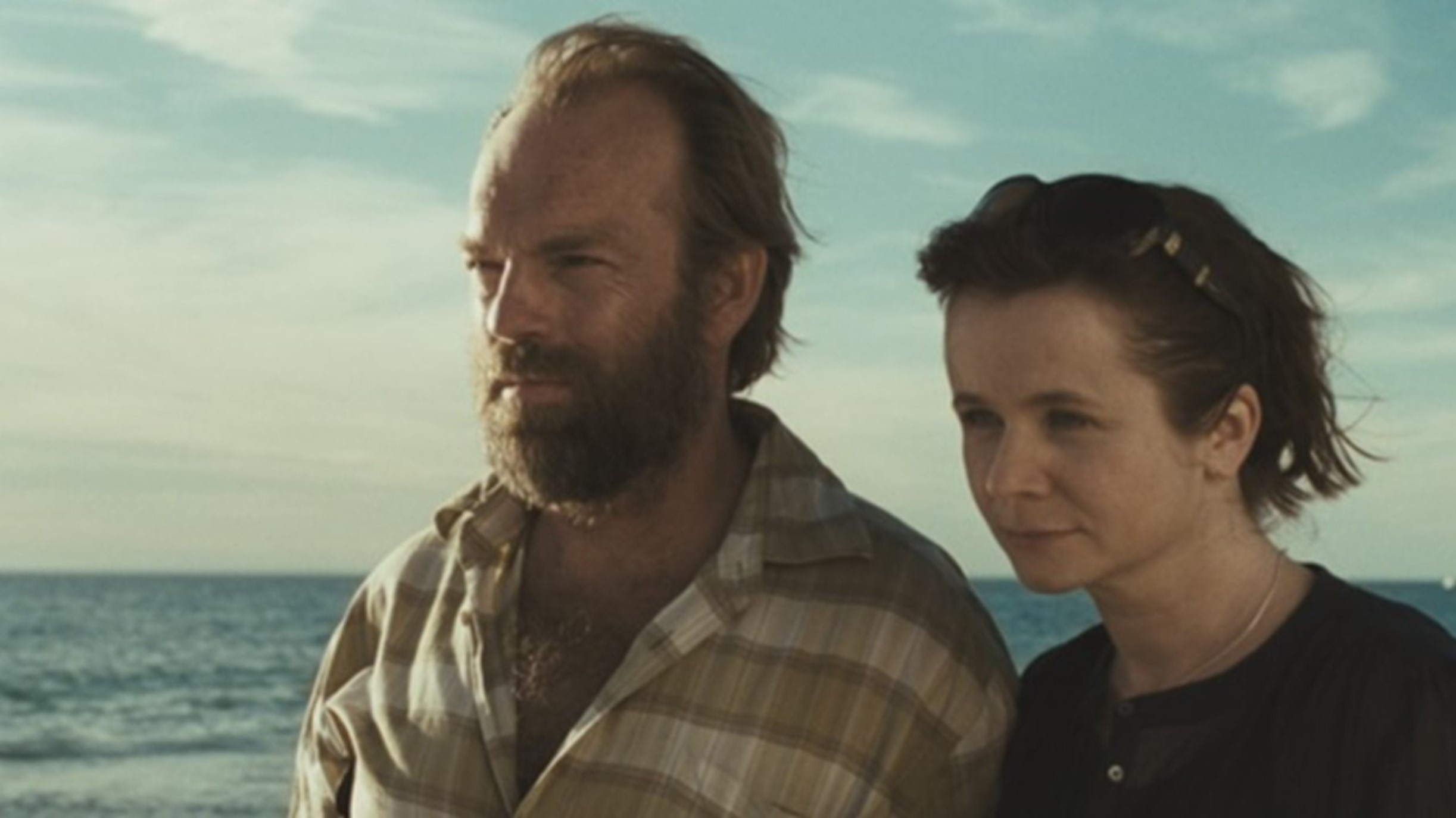 Oranges and Sunshine Background