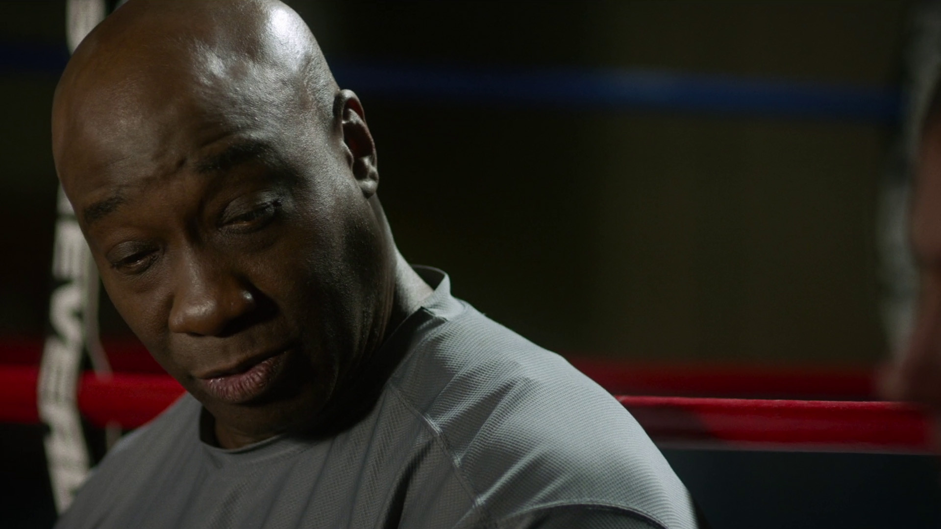 The Challenger Background