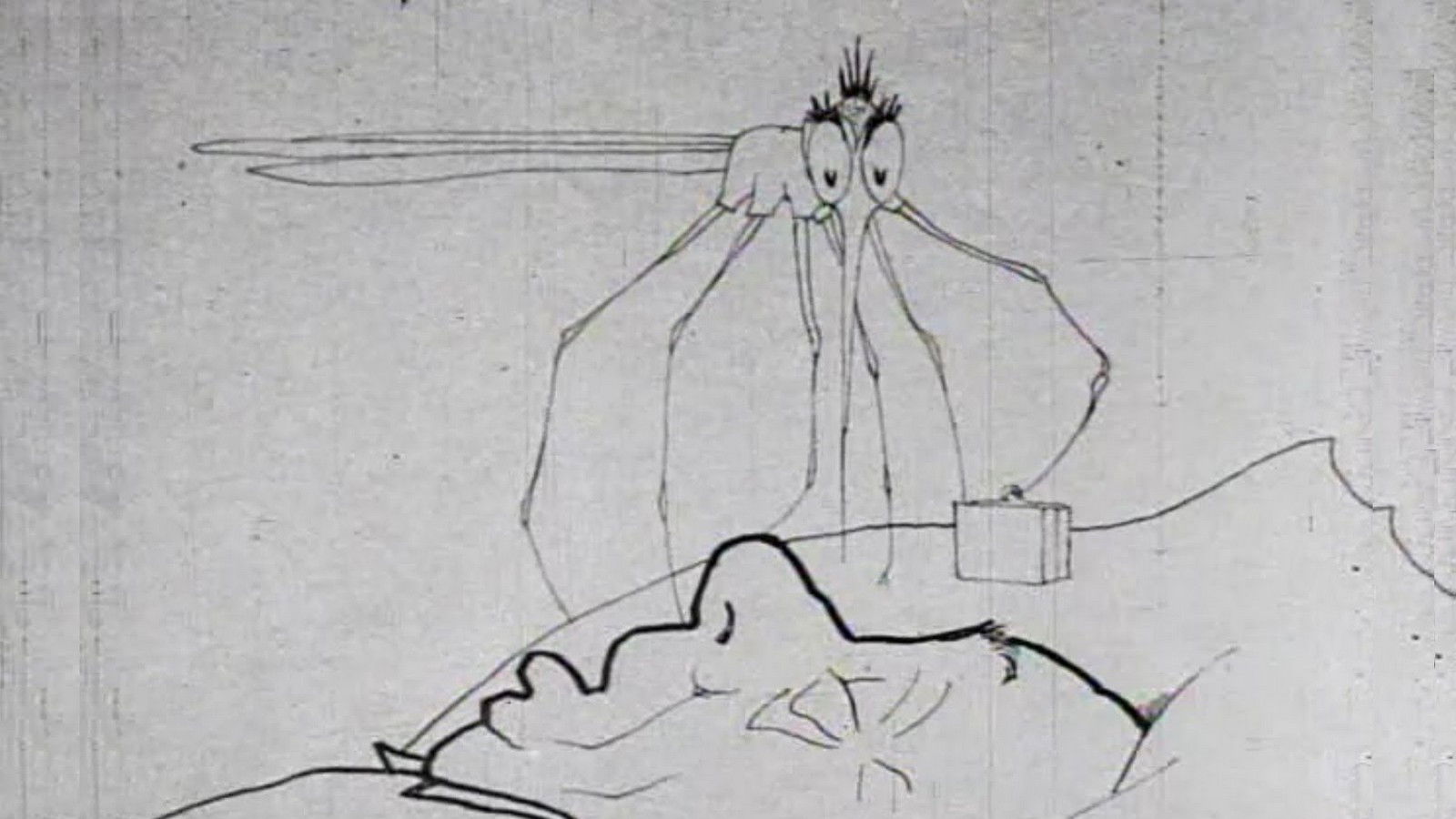 How a Mosquito Operates Background