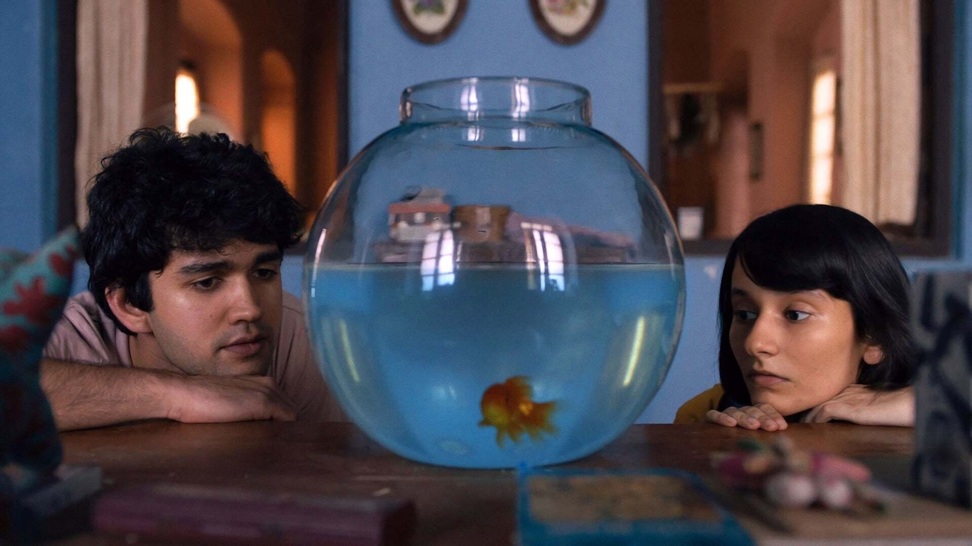 What are the Odds? Background