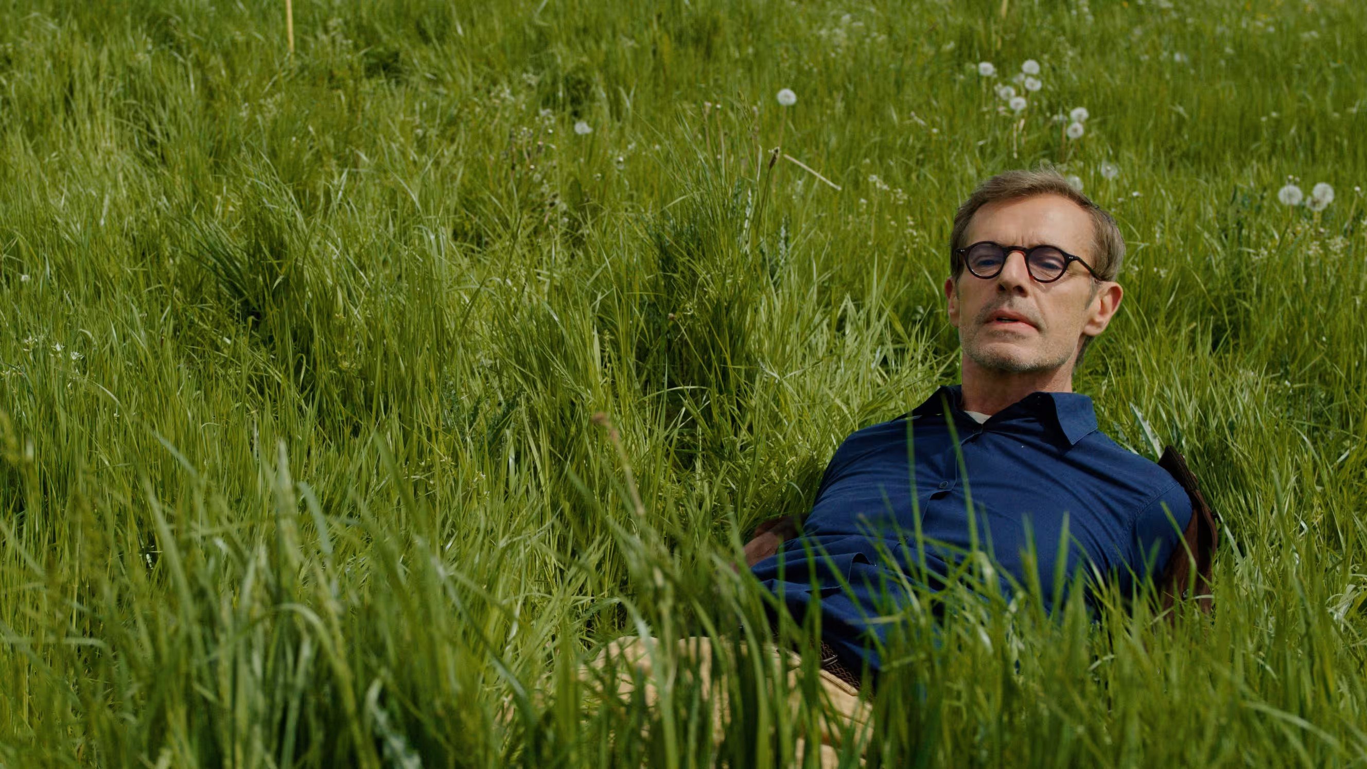 5 Hectares Background