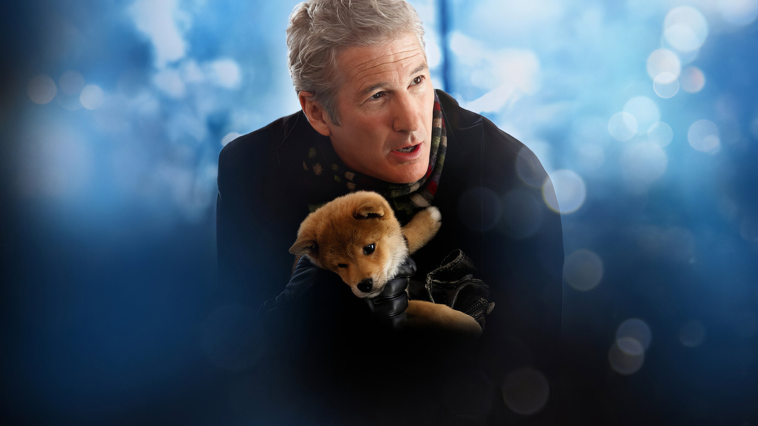Hachi: A Dog's Tale Background