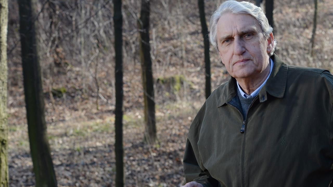 Sensacje XX wieku Background