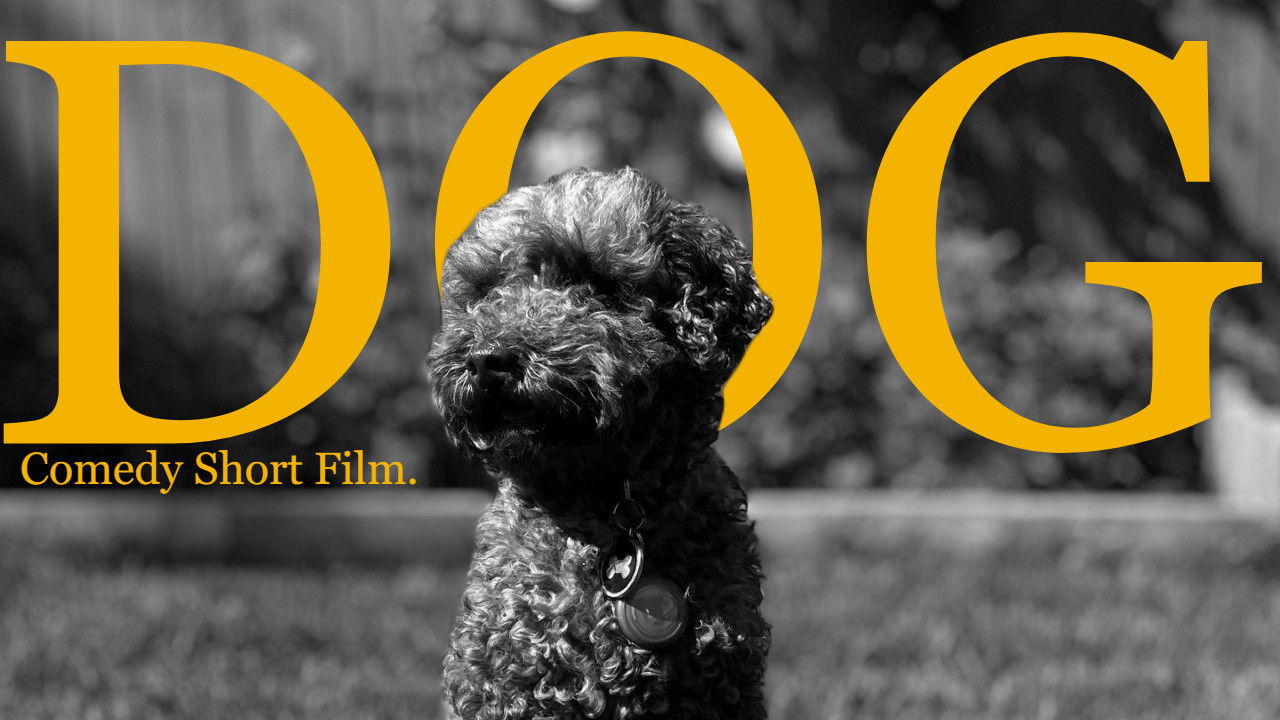 Dog (The Mockumentary) Background