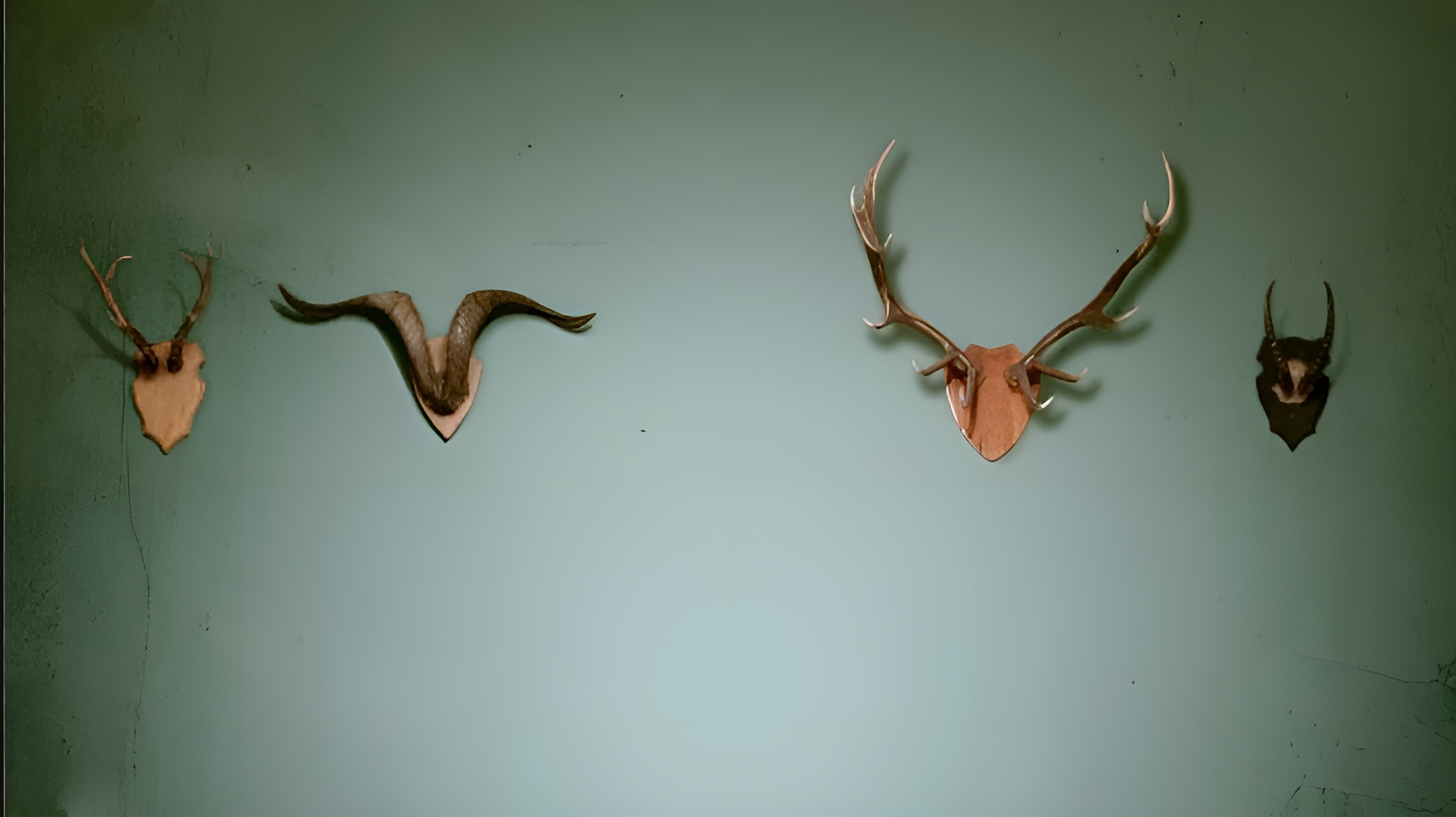 Infidelities Background