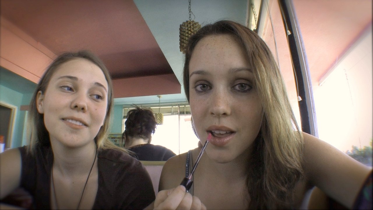 Megan Is Missing Background