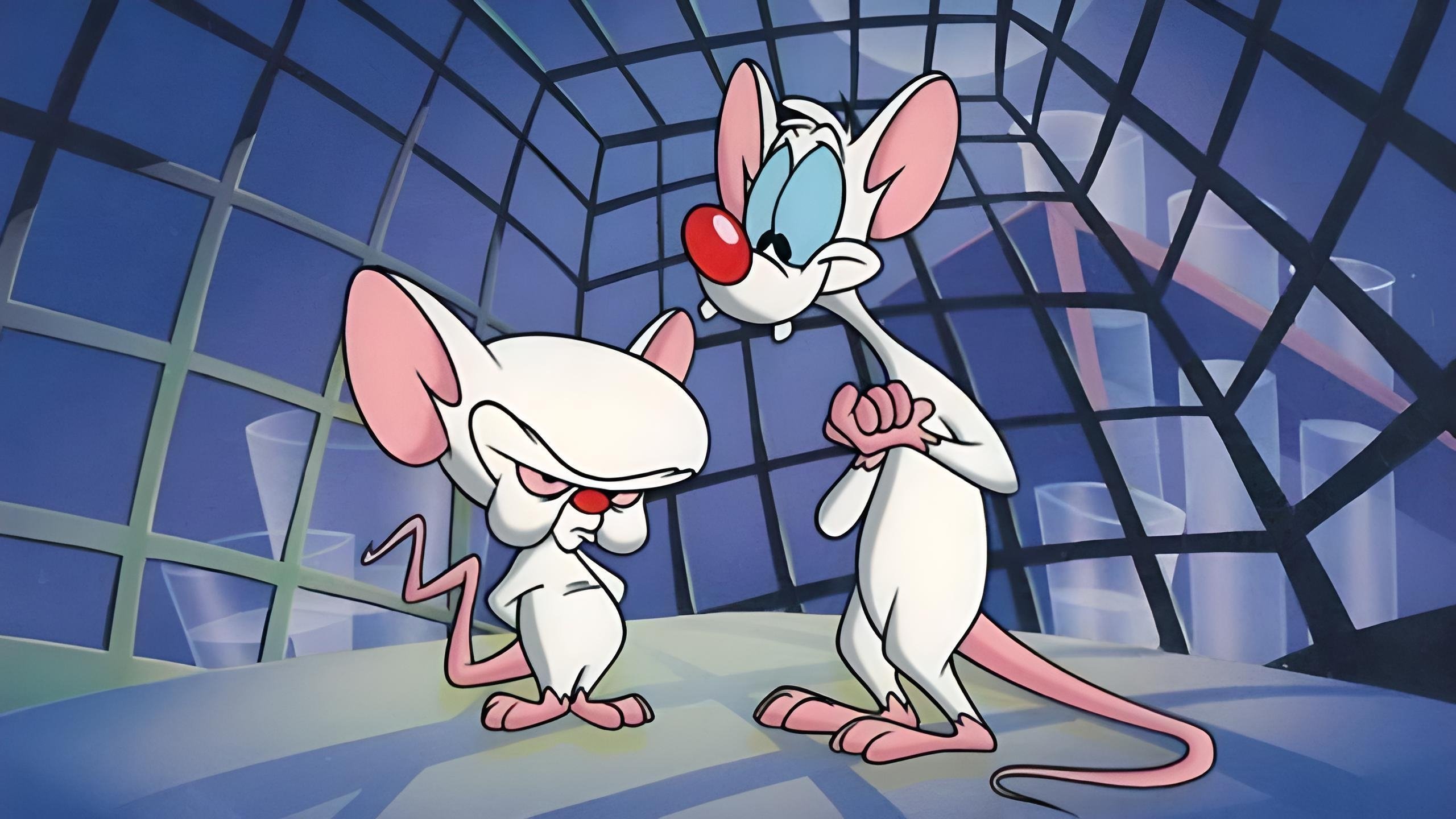 Pinky and the Brain Background